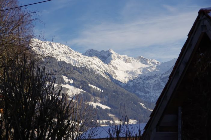 Blick auf die Allgäuer Alpen