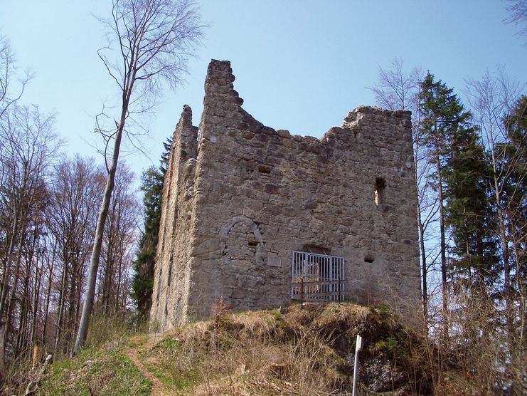 Wanderung von Martinszell zur Burgruine Langenegg