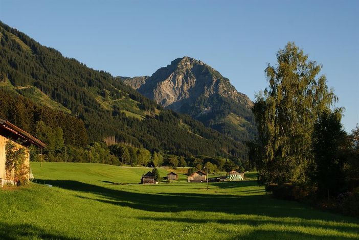 Blick vom Haus