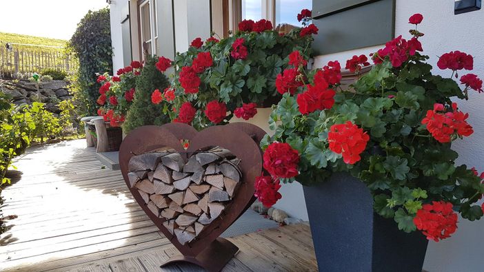 Rund ums Haus