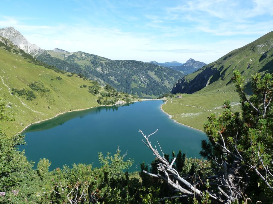 Blick auf den Traualpsee