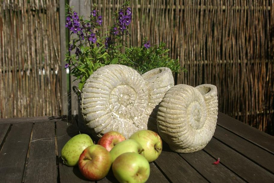 Äpfel im Garten