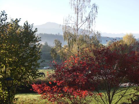 morgenstimmung