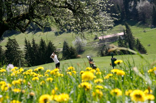 fruehling-2012-013-favorit