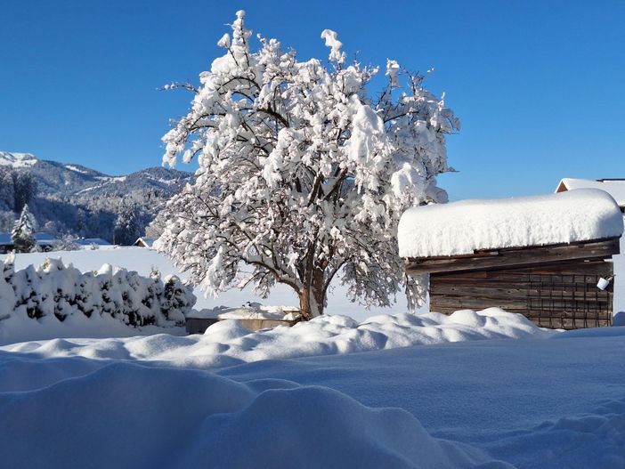 Winter Wonderland