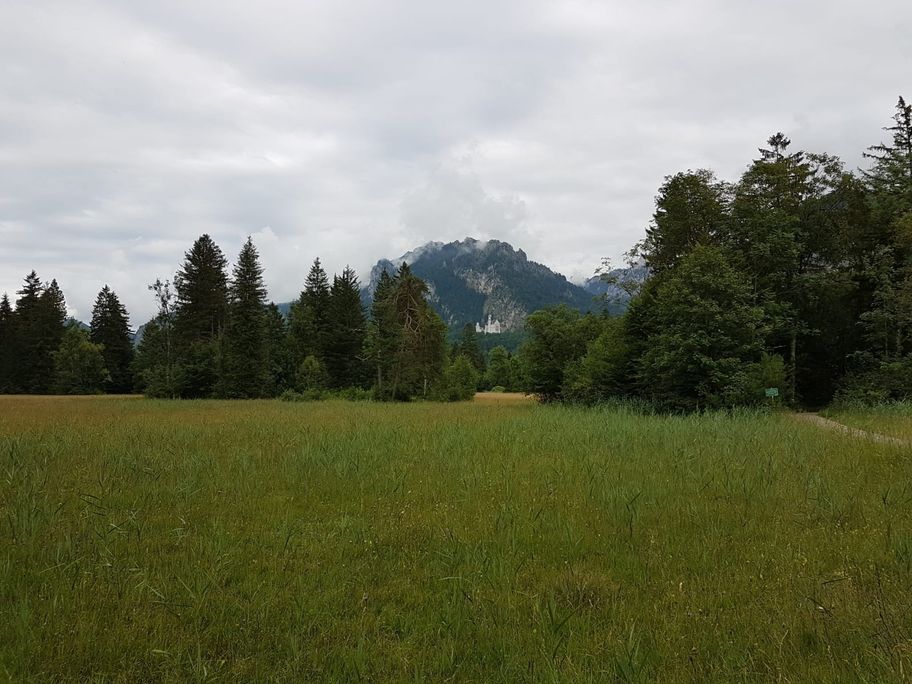 Blick vom Schwanseepark auf Schloss Neuschwanstein