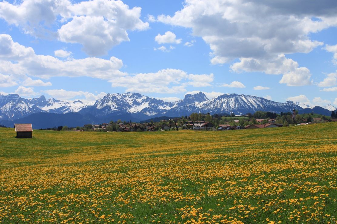 Blick über Seeg im Allgäu in die Berge