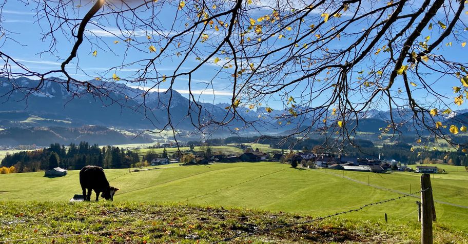 Aussicht von der Wittelsbacher Höhe