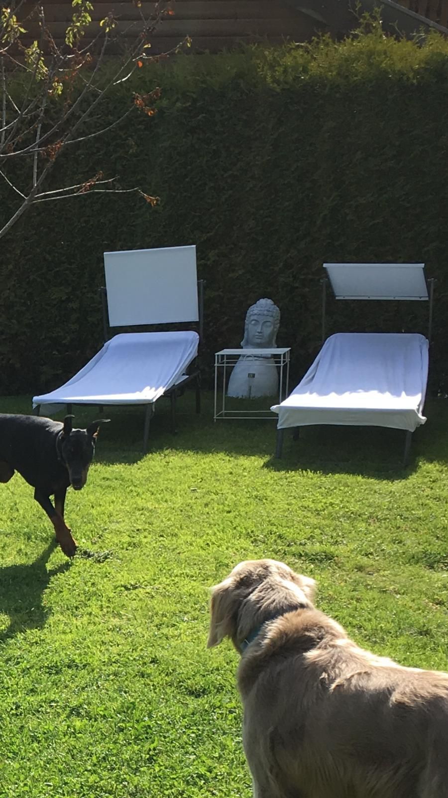 IMG-20190413-WA0076
