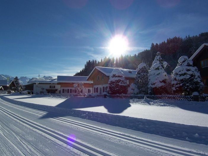 Chalets Flora & Fauna