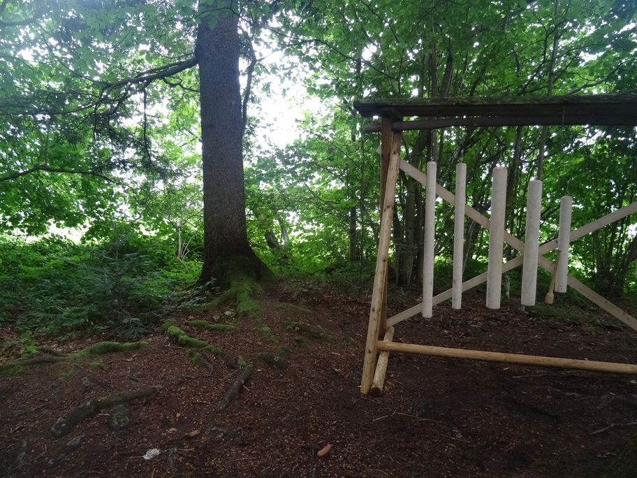 Hier klingt der Wald