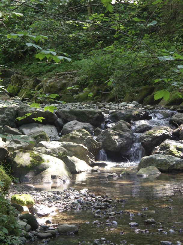 Romantischer Hausbach