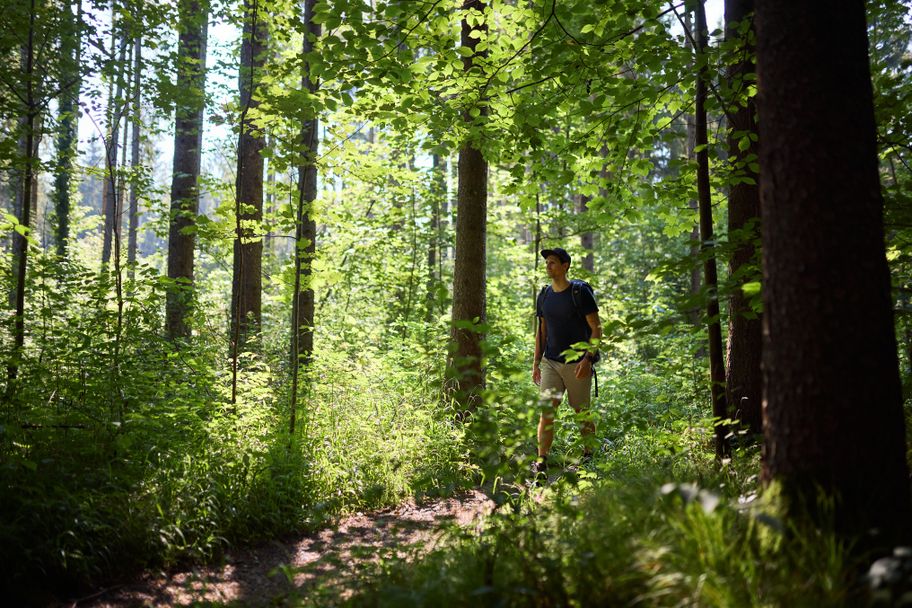 Wandern auf den Pfaden rund um Buxheim
