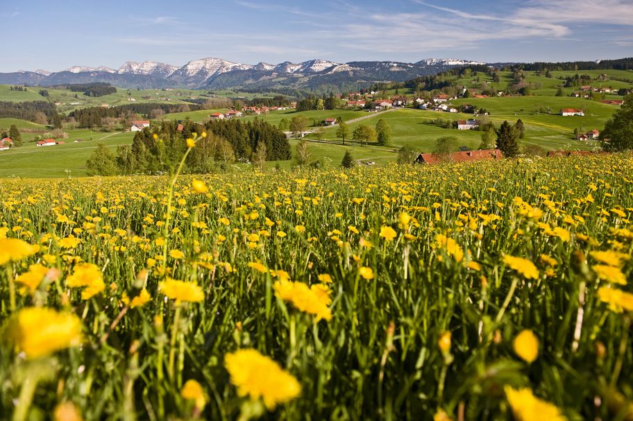 Oberreute_Ortsteil Langenried_Nagelfluhkette