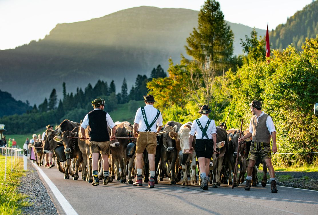 Viehscheid Oberstaufen