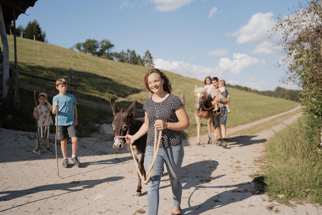 17 Pferd und Esel reinholen