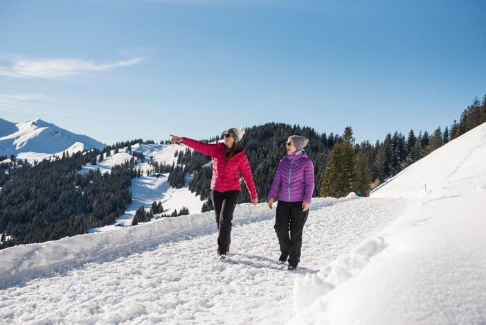 1137019_Winterwanderung auf dem Höhenpanoramaweg