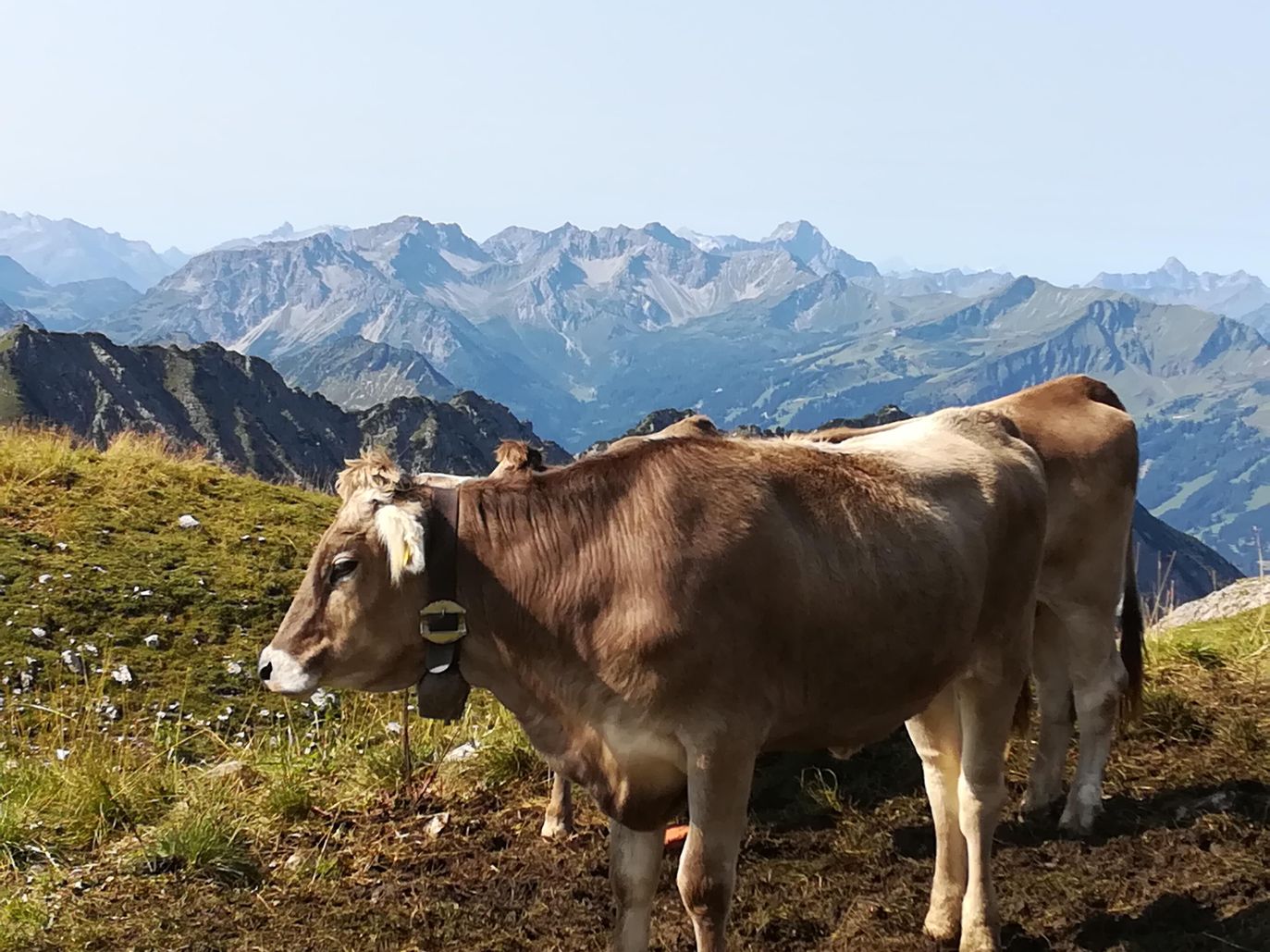 Natur genießen bei uns