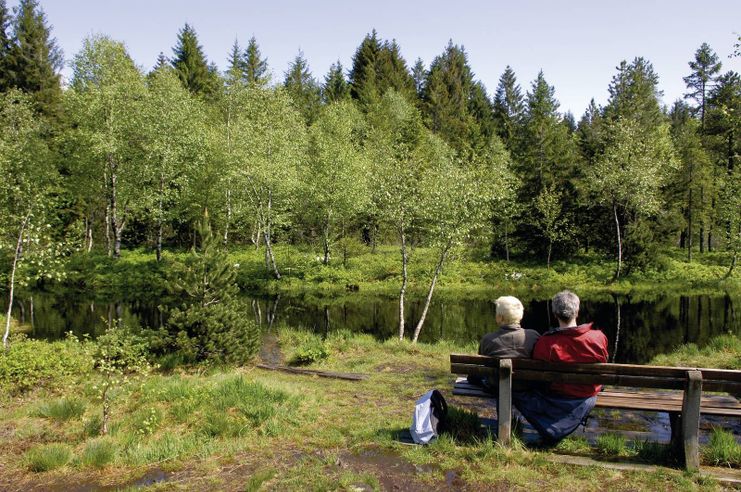 Auf Entdeckungsreise im Wildrosenmoos - Westallgäuer Wasserweg 11