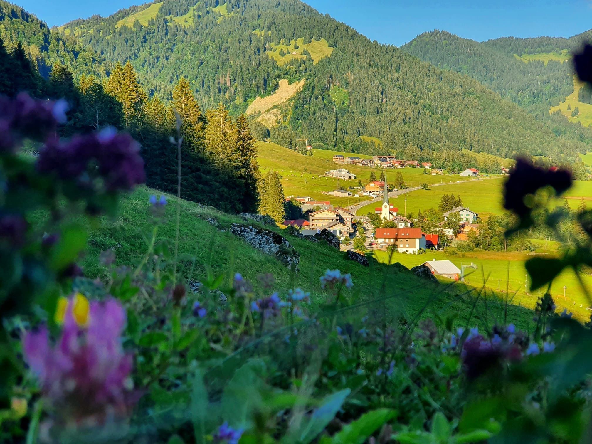 Blick auf Balderschwang im Sommer - Hörnerdörfer im Allgäu