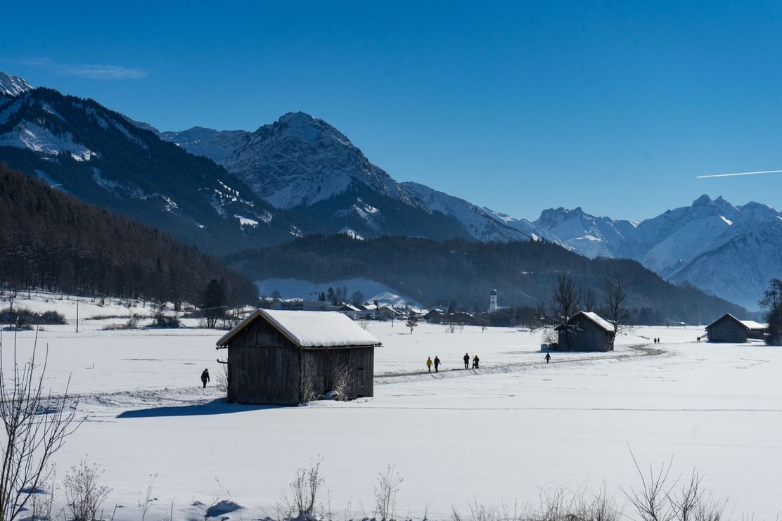 Winterliche Illerauen