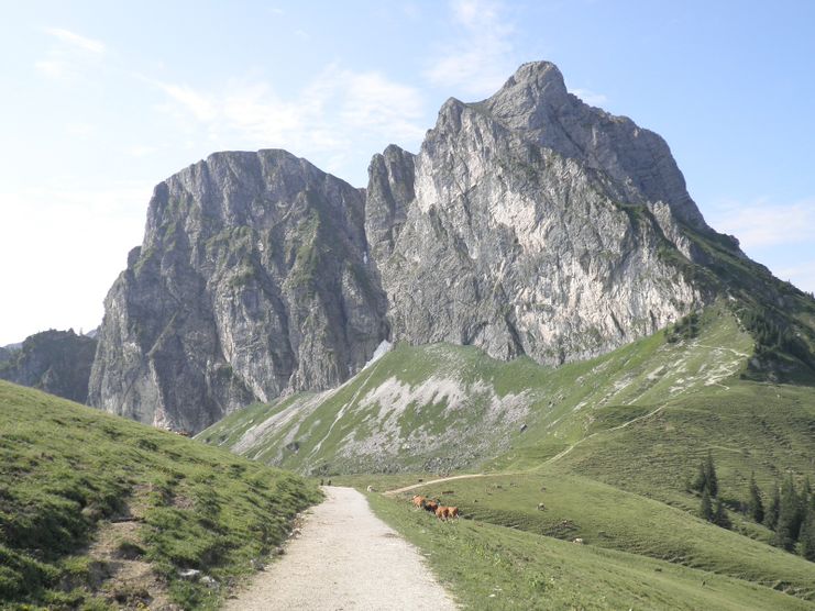 Der Aggenstein