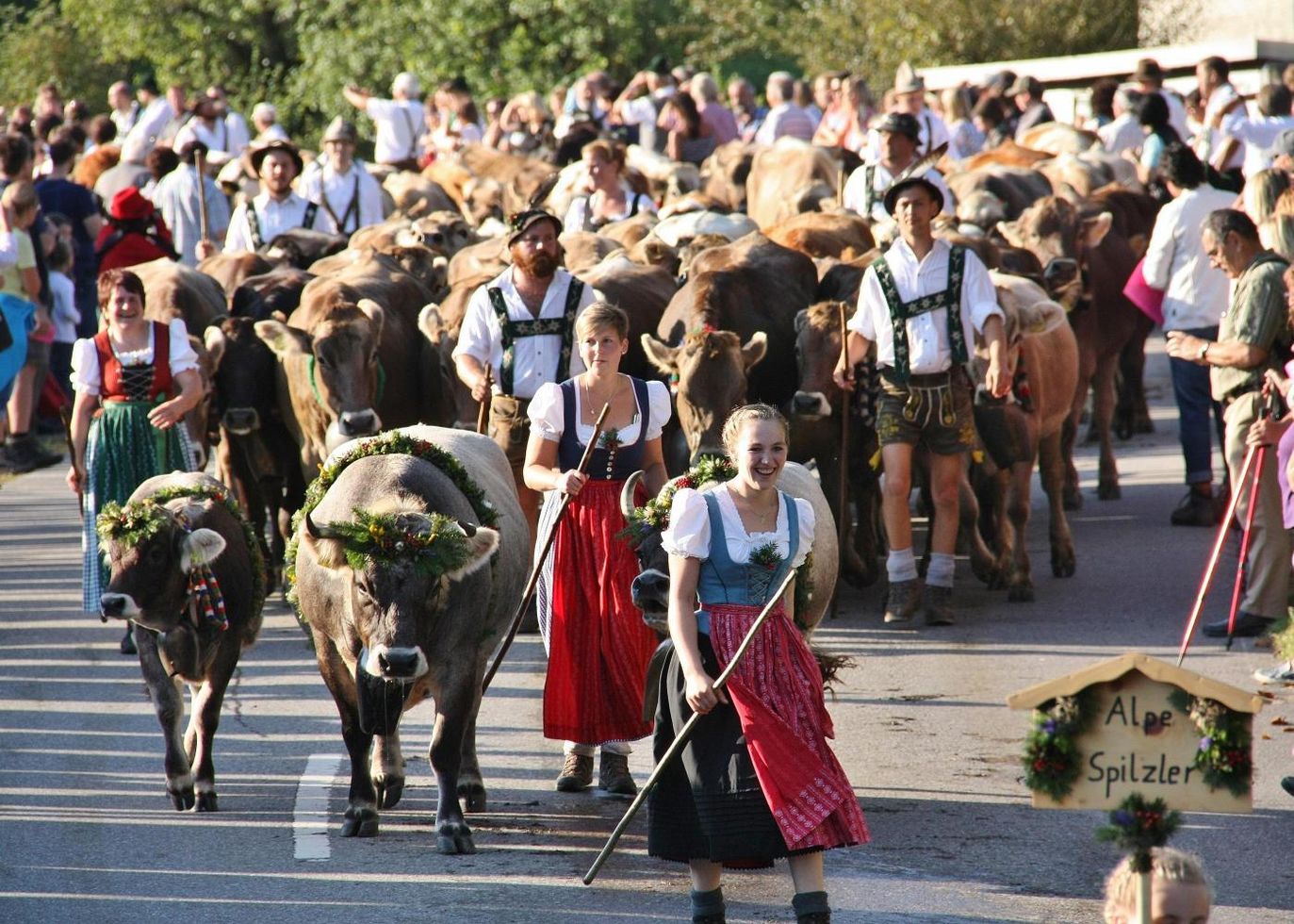 Viehscheid in Oberstaufen