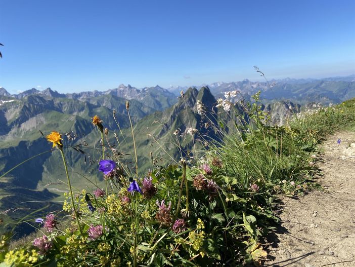 Berge