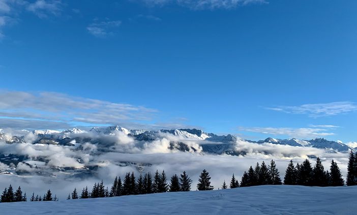 Winter Wonderland