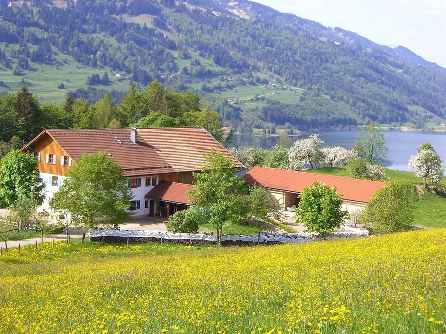 Haus Frühling