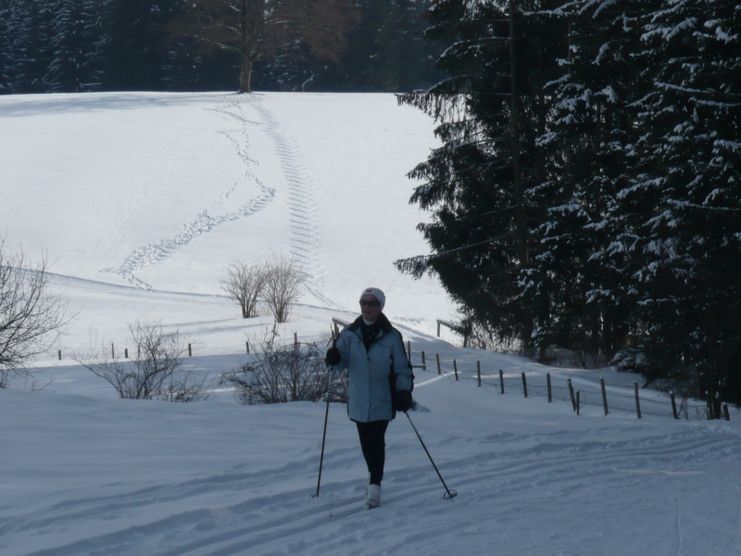 Zwischen Muckenberg und Höllbauer