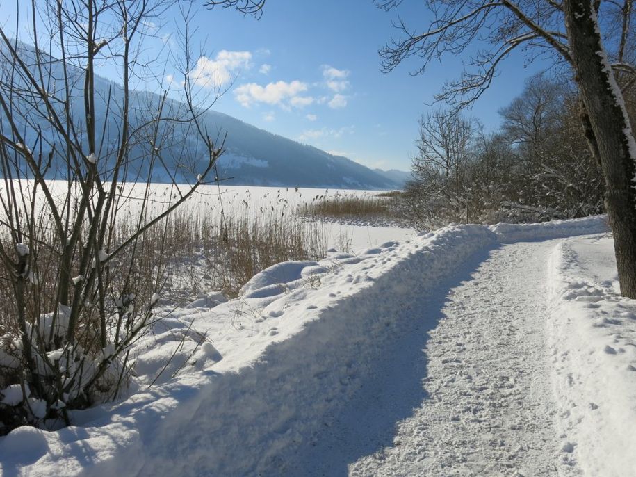 Winterwanderweg am Alpsee