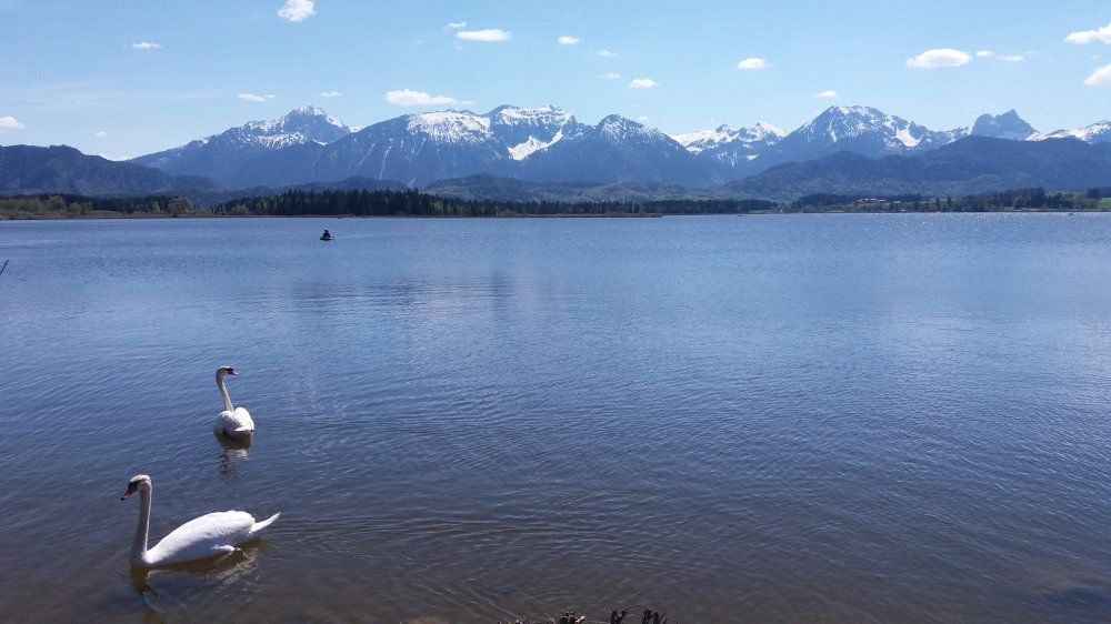 Der wunderschöne Hopfensee