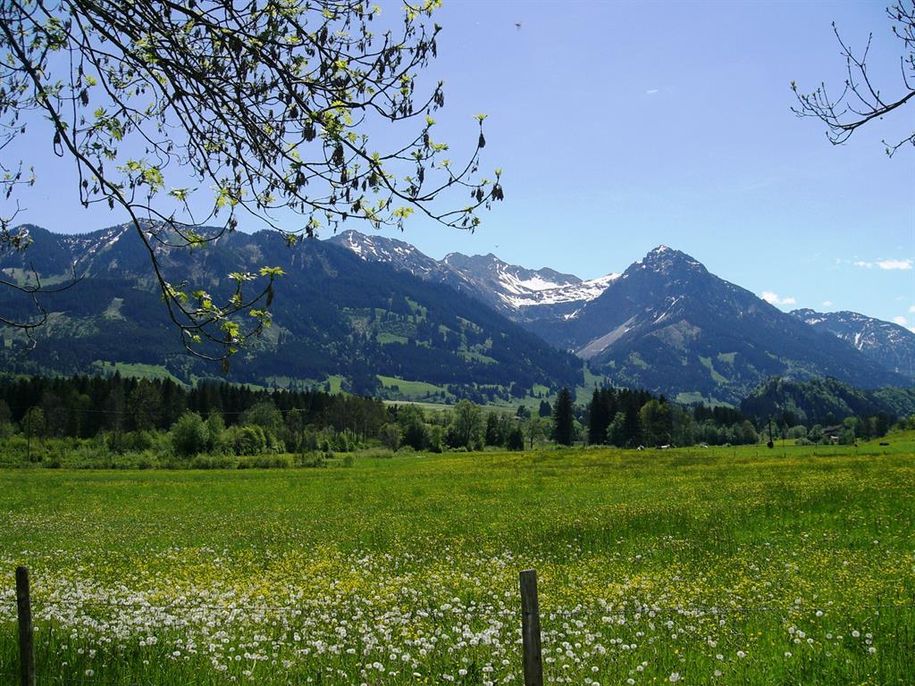 Frühling im Allgäu