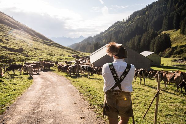 Entspanntes Warten auf den Abmarsch zum Bolsterlanger Viehscheid