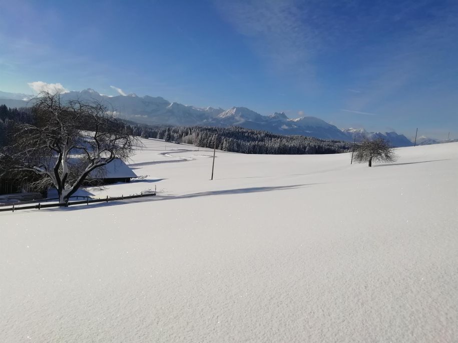Aussen5