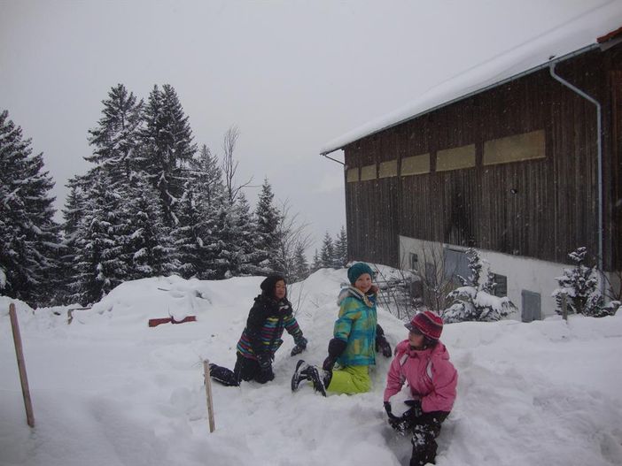 Toben im Schnee