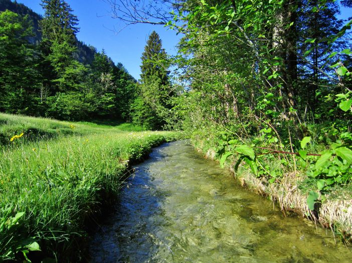 Achtal5
