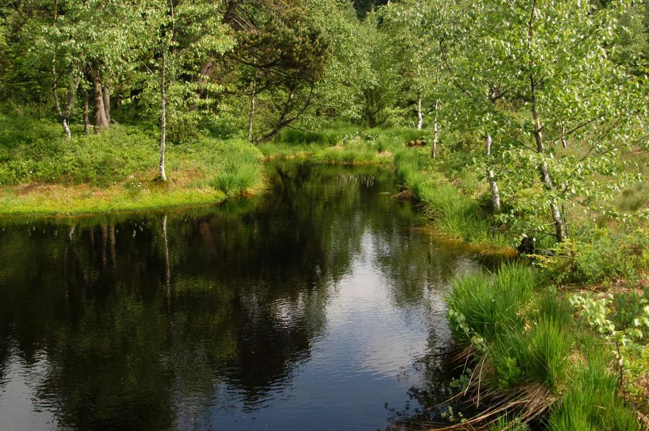 Der Panoramaweg bei Sulzberg - Grenzenlose Aussicht