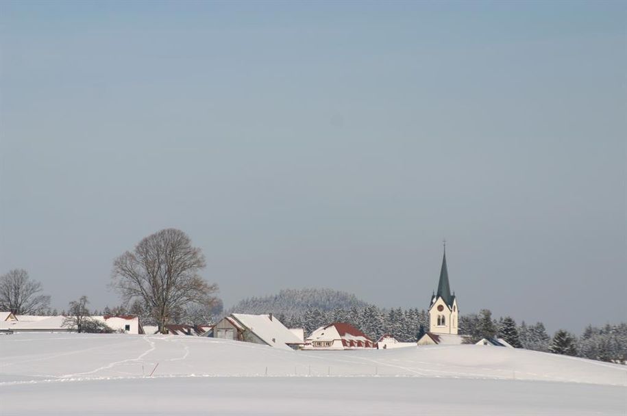 Eisenharz im Winter