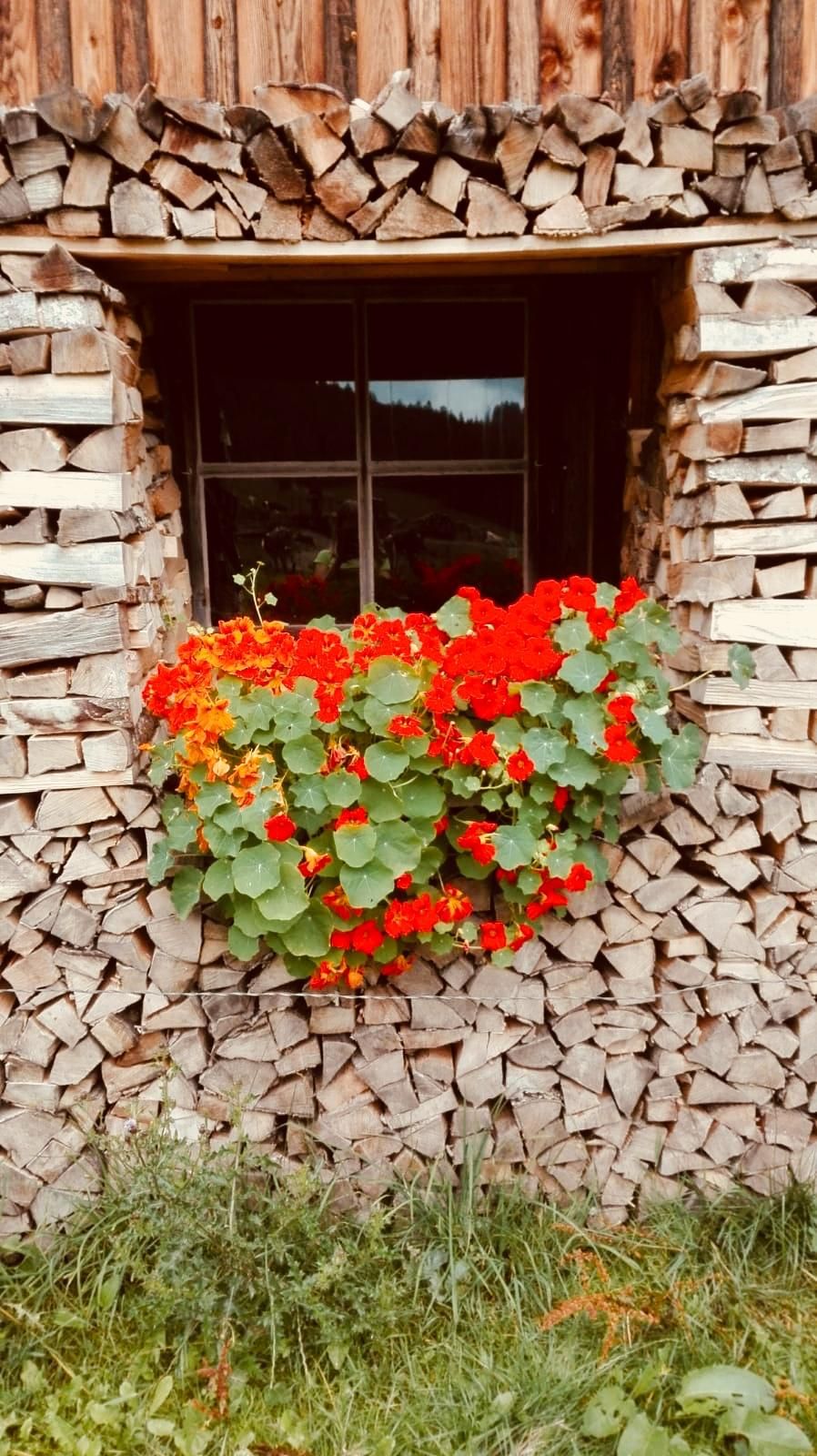 Alpe Scheuen in Balderschwang