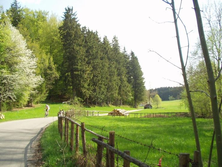 Bad Wurzach | Wanderweg Nr. 7a – Engelsberg-Runde – entspannter Spaziergang durch Wald & Wiese