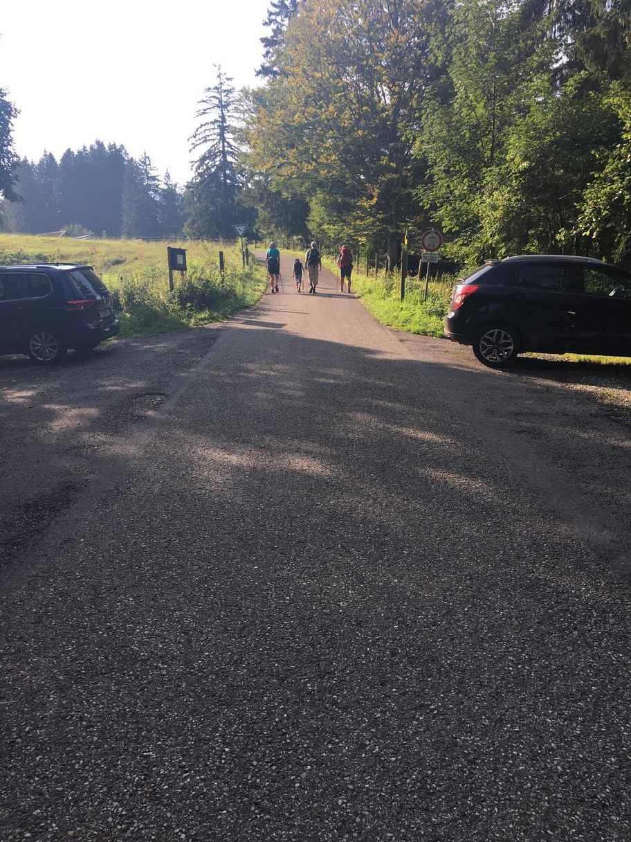 Fahrstraße Richtung Buchenberg