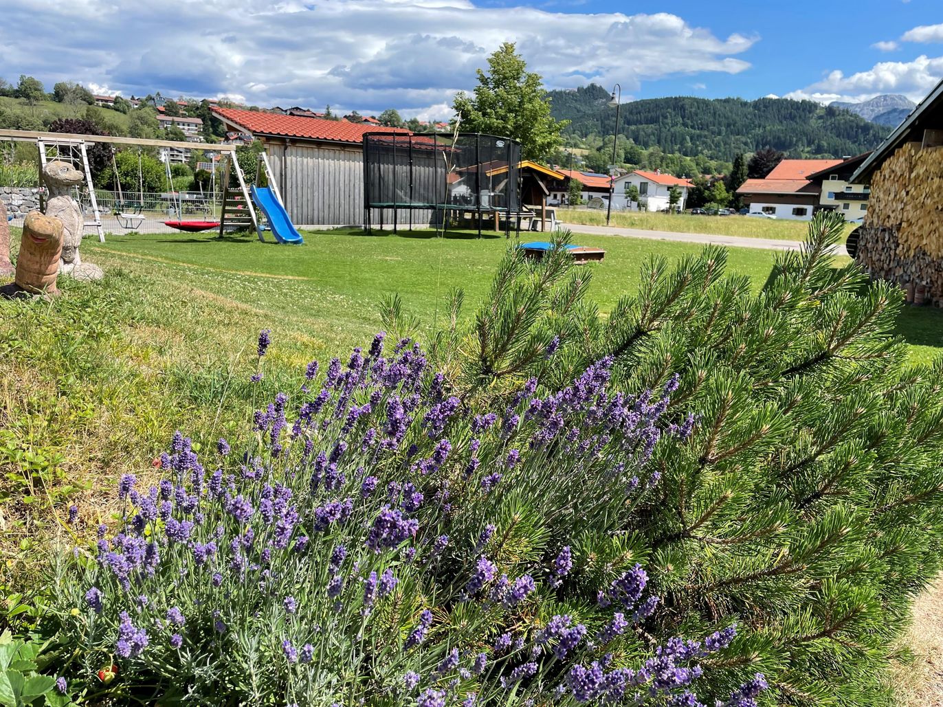Garten über Lavendel Sommer 26