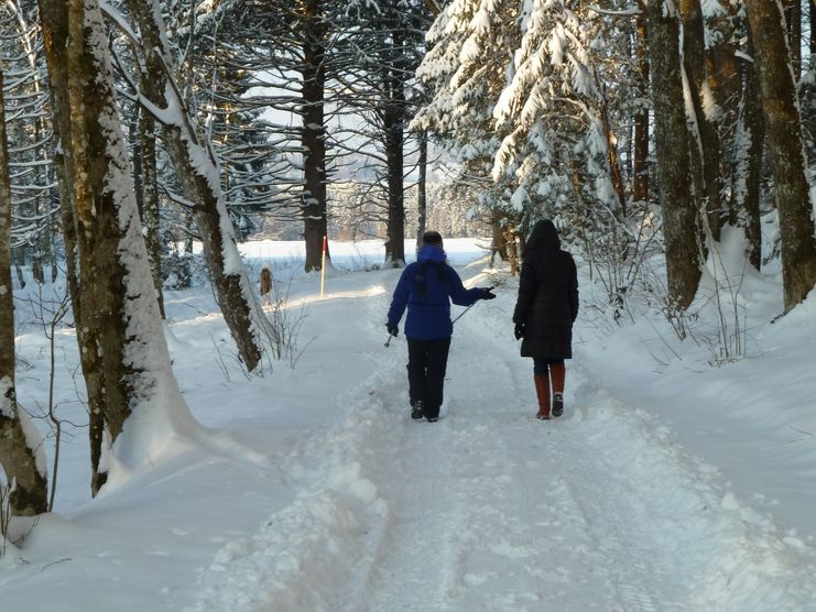 Wanderer im Geschwend