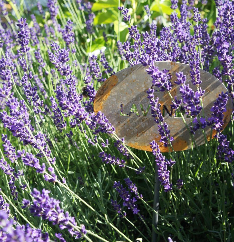 Kräutergarten in Balderschwang im Allgäu