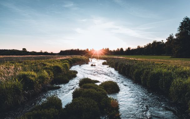 Bodenmöser in Isny