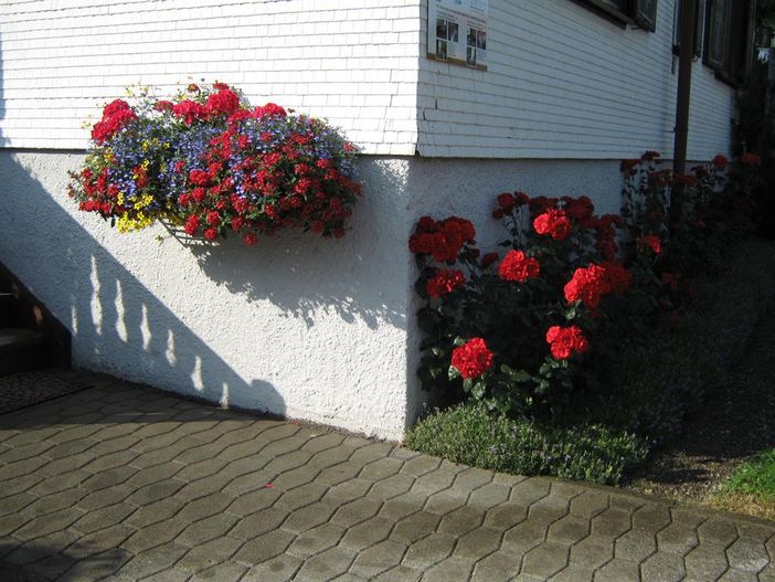 Haus-Heim Eingang
