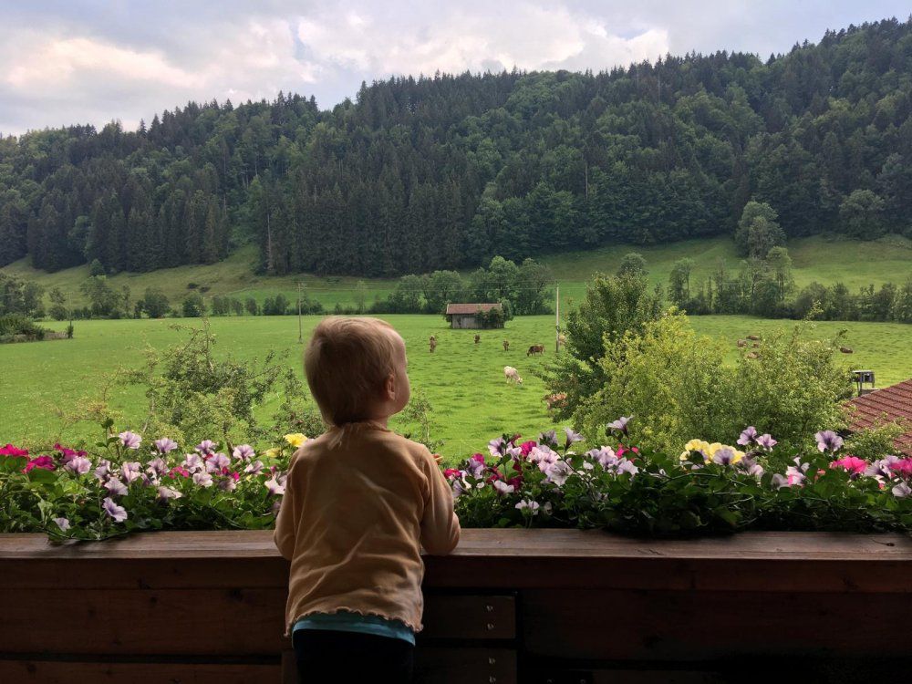 Aussicht vom Balkon der Ferienwohnung