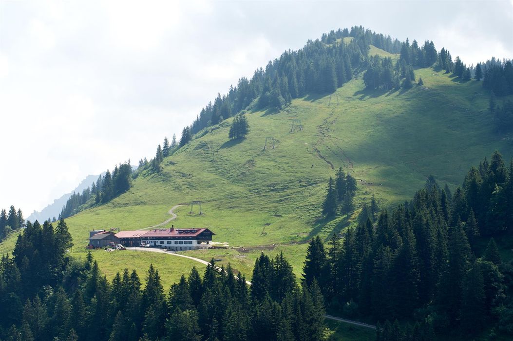 Blick vom Windbuckel (Abzweigung Gipfelkreuz)